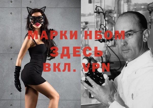 мдма Новозыбков