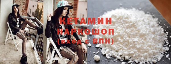 сатива Туринск