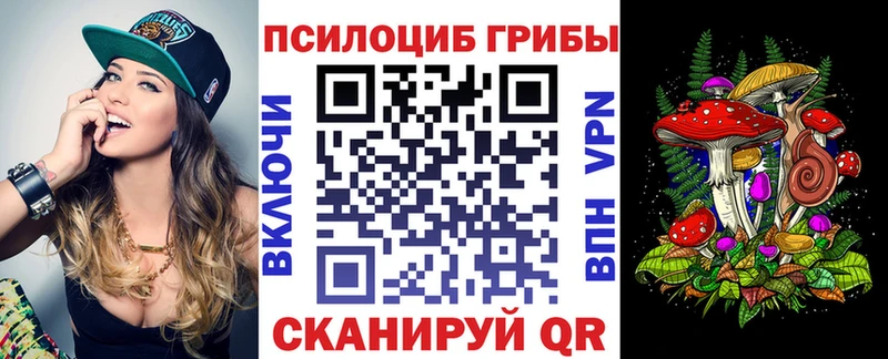 Галлюциногенные грибы Psilocybe  Новомичуринск 